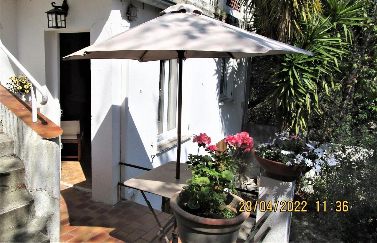 NICE, à saisir : STUDIO indépendant en VILLA ( Mer, ville, calme ) Nice Exterior foto